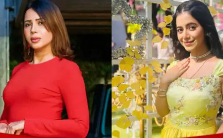 Rozlyn Khan Slams TV & Bollywood Mafia Over Alisha Parveen's Sudden Exit from Anupamaa!
