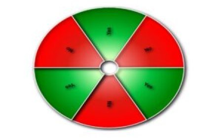 Yes or No Wheel: Decision-Making Just Got More Exciting