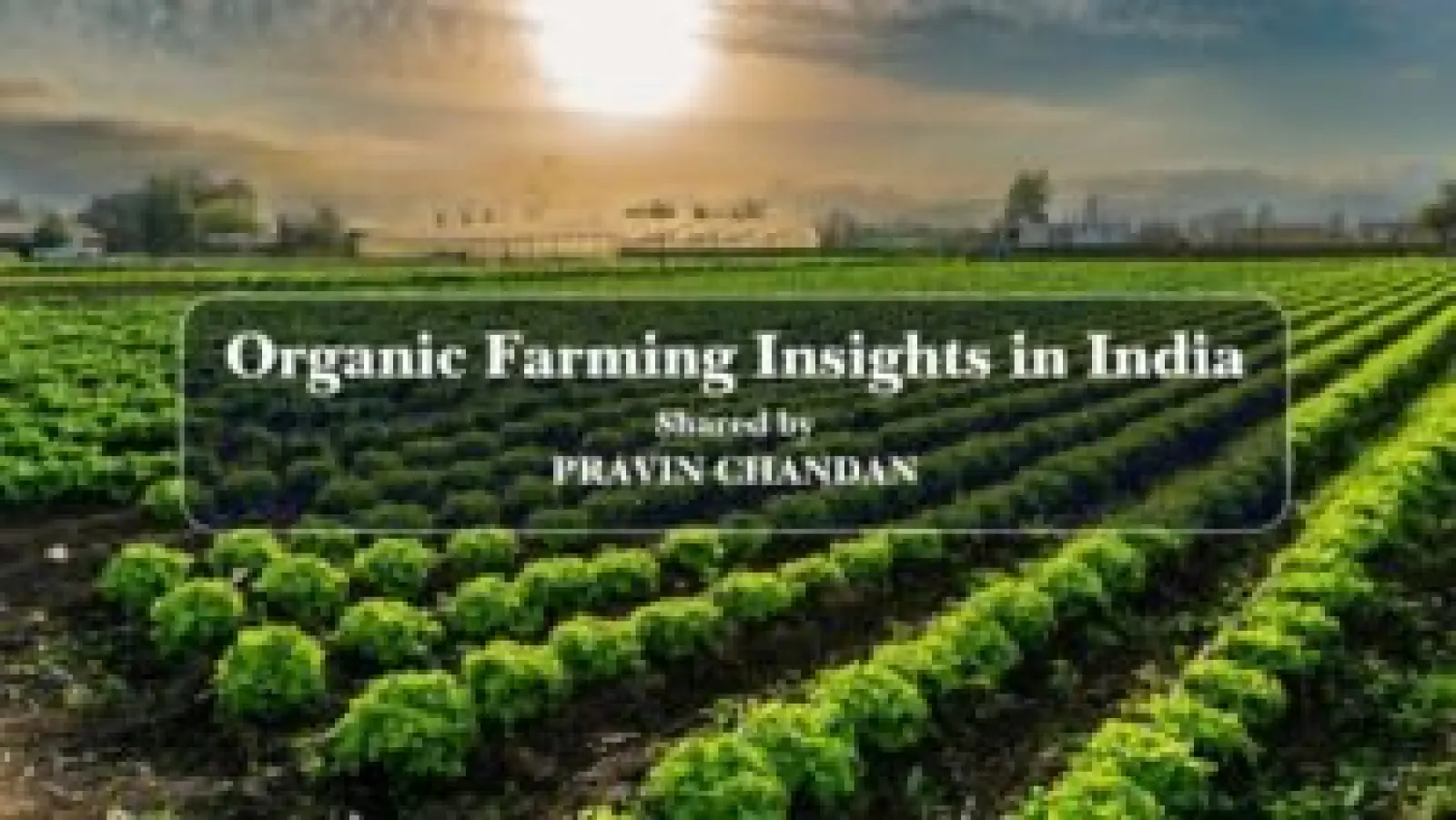 Organic Farming Insights in India: Shared by Pravin Chandan