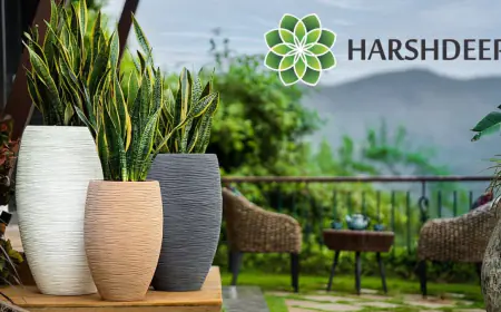 Harshdeep Hortico Limited Reports Strong Operating Results for the year Ended March 31, 2024