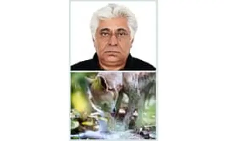 Conflicted Coexistence by Author and Wildlife Photographer Sunil Gadhoke