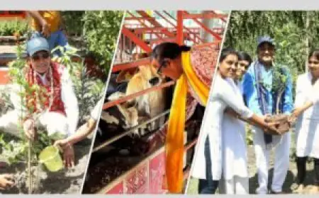 Dinesh Shahra Foundation Leads Environmental Protection Efforts further to World Environment Day