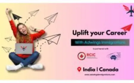 Giving People A Hassle-Free Immigration: With Adwings, Going Abroad Is Easy