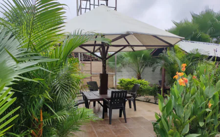 Tanas – A Soulful Escape at the Best Resort in Pench