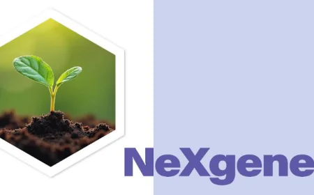 A Revolutionary Step in Eco-Friendly Insulation: Seho Tech Unveils NeXgener(R) Foam Blowing Agent