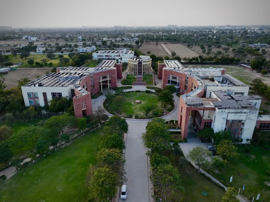 How JKLU's BBA Programme Builds the Foundation of a Thriving Career