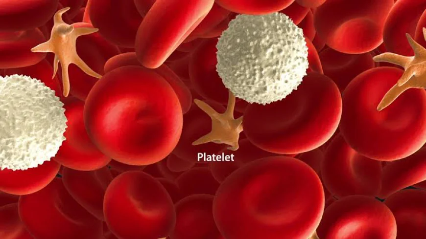 What To Do If Your Platelet Count Drops Suddenly?