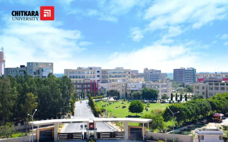 Chitkara University Online Introduces Global Accounting MBA amid Rising Demand for International Finance Skills