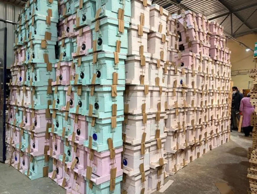 Nippon Paint India Partners with Humble Bee to Strengthen Sustainable Apiculture in India