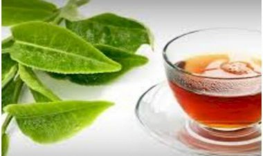 To Strengthen Your Health, Consume Tea Made From Guava Leaves, Make A Drink Like This