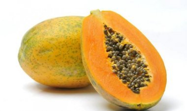 Eating More Papaya Is Injurious To Health, And May Have These Side Effects
