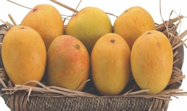 Man Kills His Niece : When She Asked Him For Mango While He Was Eating