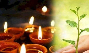 These Measures Of Hariyali Amavasya Can Get Rid Of Pitra Dosh, All The Work Will Be Done Smoothly