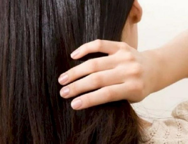 If You Are Also Troubled By The Problem Of Hair Breakage, Then Follow These Tips
