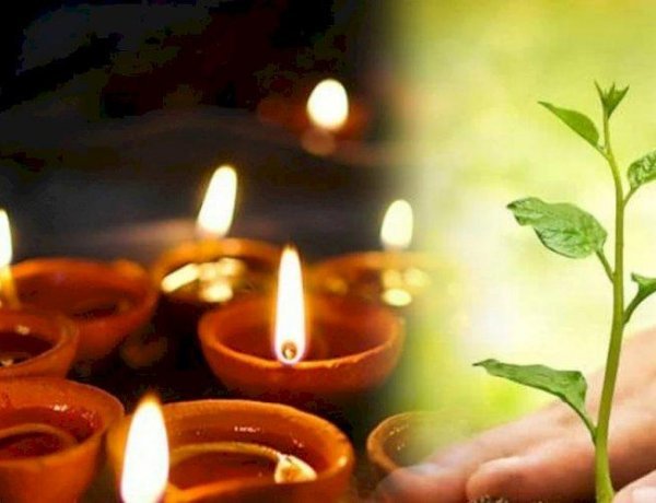 These Measures Of Hariyali Amavasya Can Get Rid Of Pitra Dosh, All The Work Will Be Done Smoothly