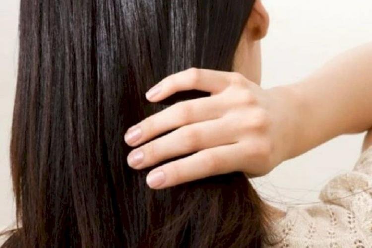 If You Are Also Troubled By The Problem Of Hair Breakage, Then Follow These  Tips - Sangri Today | News Media Website