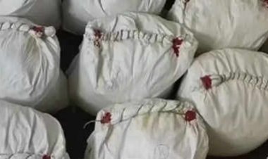 Drugs worth 1400 crores recovered from Palghar, Maharashtra