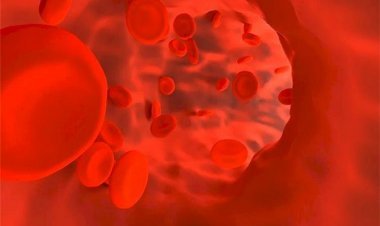 How to increase Hemoglobin, why is it lacking in the Body?