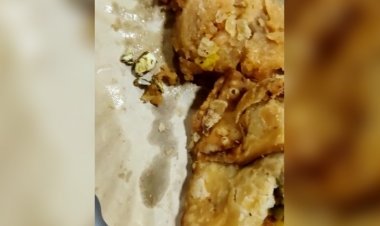 Insects found in Gulab Jamun of Secretariat canteen
