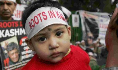 800 families never left Kashmir, facing terror since 1990