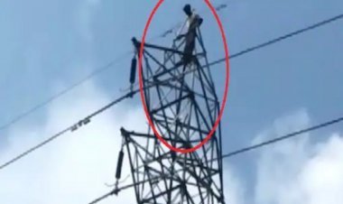 Youth climbed on 440 volt high-tension tower