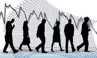 Good news for the youth: 49% of the country's youth employable