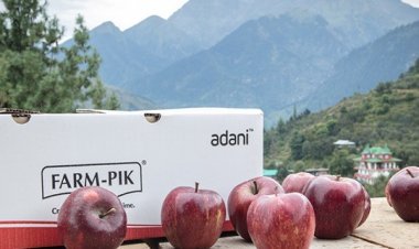 Himachal Pradesh farmers sell 7,500 tonnes of apples to AAFL