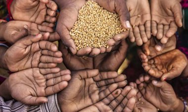 19 lakh people will get wheat ration, the state government will pay the expenses