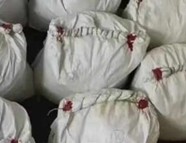 Drugs worth 1400 crores recovered from Palghar, Maharashtra