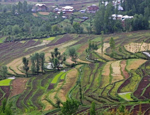 302 acres of land of Kashmiri Pandits occupied: But the real owners are not coming