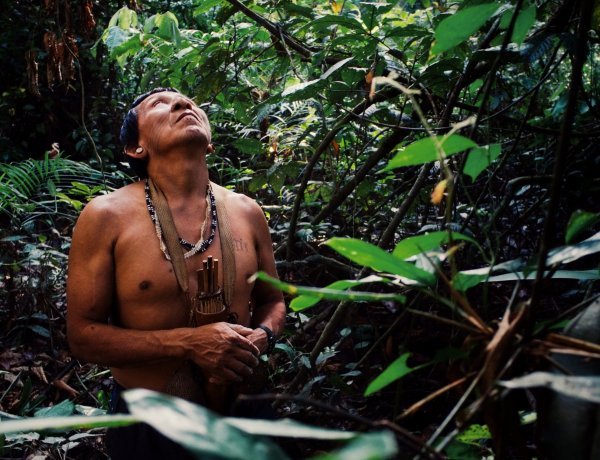 World's only person died in Brazil: 26 years spent in the jungle; was the last member of his clan