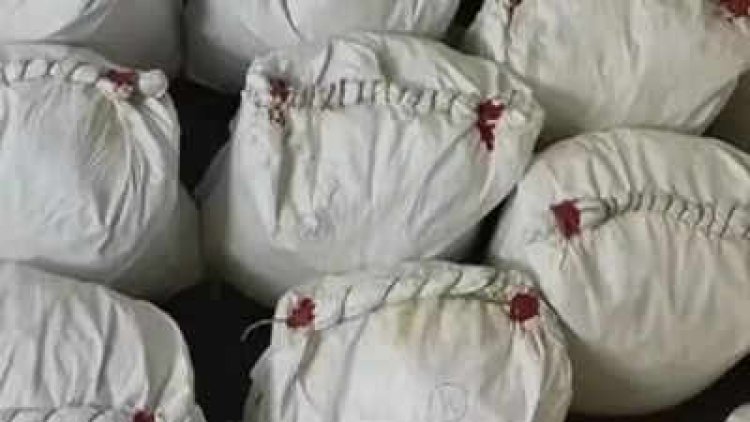 Drugs worth 1400 crores recovered from Palghar, Maharashtra