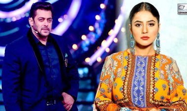 Salman Khan gave a big lesson to Shehnaaz Gill