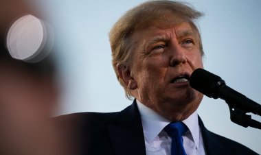 Trump's party leaders share fake news: 1.7 million tweets containing false news