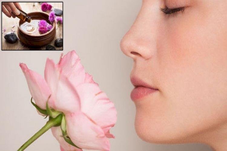 Just Smelling This Oil Will Remove All The Problems From The Body, Adopt This Therapy