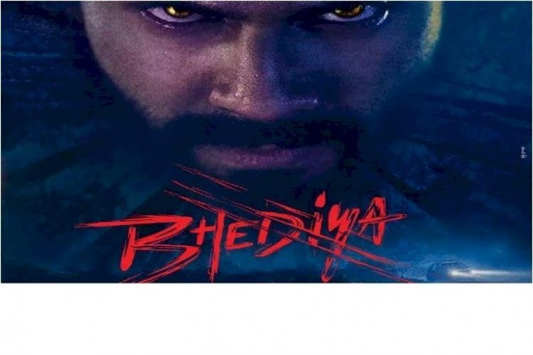 Varun Dhawan Was Seen Hunting The Teaser Of The Film Bhediya
