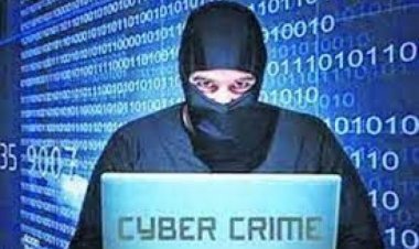 Cheating of crores in the name of software