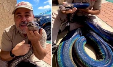 Python Video: 'Rainbow Python' Seen In Man's Lap, People Were Surprised To See The Beauty