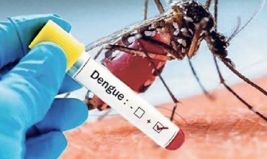 16 people died in 7 days due to dengue in Jaipur, SDP demand increased three times