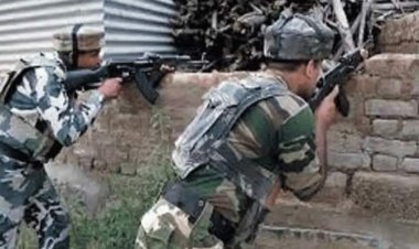3 terrorists killed in J&K's Awantipora