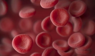 Lab-made blood transfused to humans for the first time