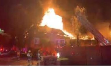 Plywood factory burnt to ashes: 8 fire engines found fire under control