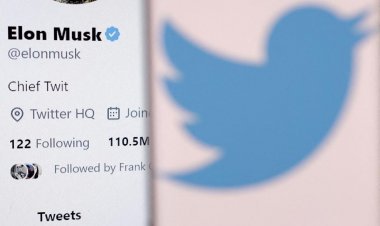 Musk's plan to deal with fake users: Said- Twitter will only identify the institution
