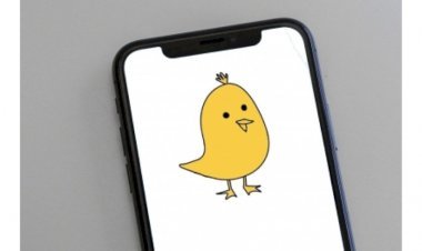 Koo became the world's second-largest microblogging site