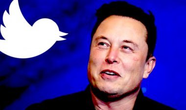 Twitter sets a new record: World Cup traffic reaches 20,000 tweets per second