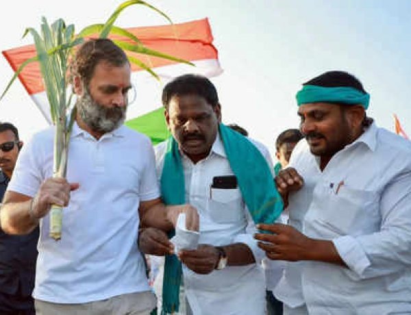 Bharat Jodo Yatra of Congress reaches Maharashtra