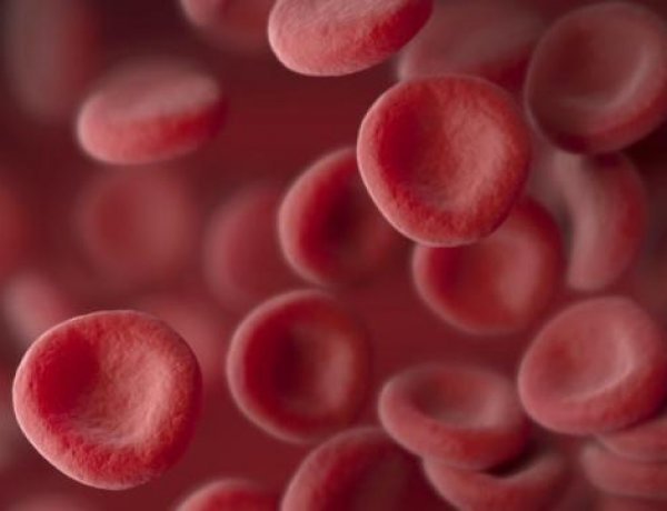 Lab-made blood transfused to humans for the first time
