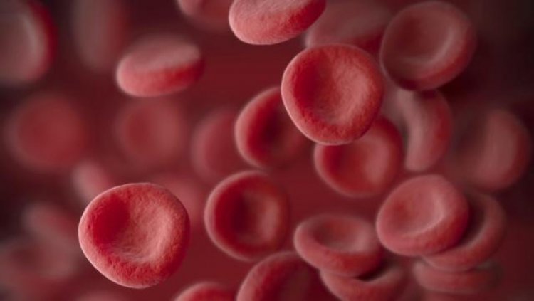 Lab-made blood transfused to humans for the first time