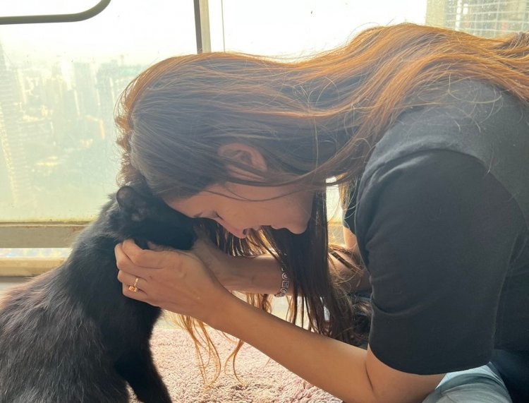 Chahatt Khanna Comes to the aid of a Stray Cat that needed medical attention