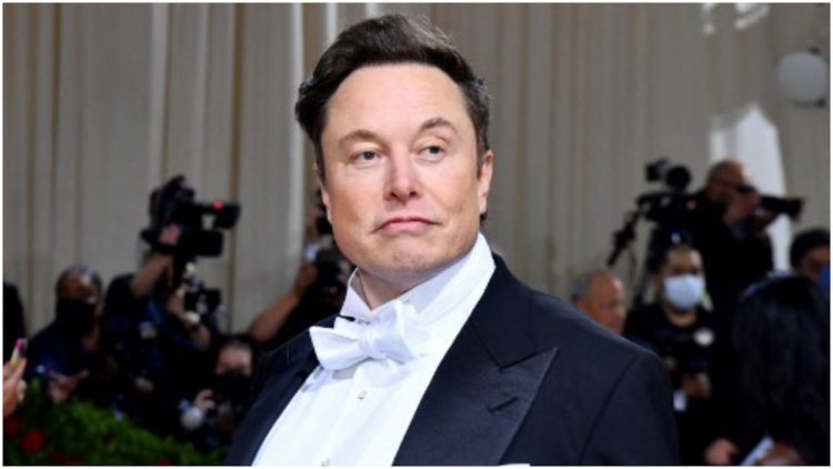 Tesla shareholder upset with Musk's time on Twitter
